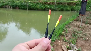 Glow phao nổi điện tử Float LED phát sáng Float câu cá độ nhạy cao màu sắc thay đổi gắn trên đỉnh Float