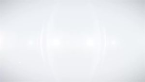 Stainless Steel Hemostatic Forceps   Straight and Curved Forceps Surgical Forceps   Clamp Needle HolderFishing Hook Remover