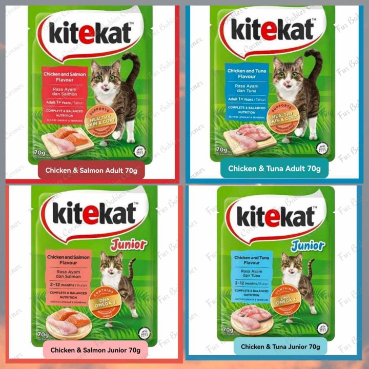 KiteKat Wet Cat Food In 70g Pouch Kitekat Cat Food Lazada PH