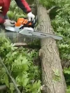 24 inches Gasoline wood cutting Chain Saw