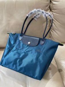 100% Authentic Longp le pliage Environmental Protection Series Womens Handbag Shoulder Bag Nylon Bag 1899919