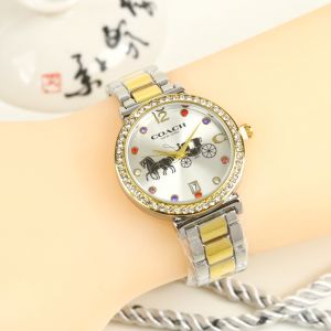 Box Exclusive Jam Tangan Coach Logo Horse VA-942RR / Jam Tangan Fashion Wanita Tali Rantai Diameter 33 cm