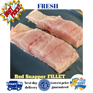 RED SNAPPER FILLET 红皂鱼片 "ang zho" 3-4pcs 500G+- (FREE DELIVERY for purchase RM120+) PENANG AREA 🚚