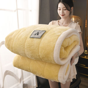 【Super low price】Three-layer Thickened Warm Milk Velvet Winter Blankets for Bed Cozy Soft Weighted Blanket for Sleeping Single Double Plush Throw