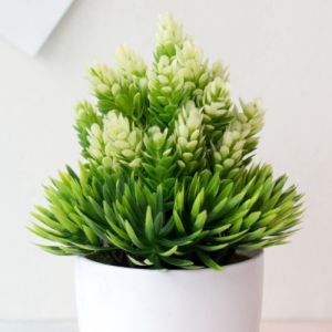 CÂY DỨA MAY MẮN TÀI LỘC [Kèm Chậu]- Hoa giả trang trí để bàn làm chậu bông để bàn Cây xanh mát nhà