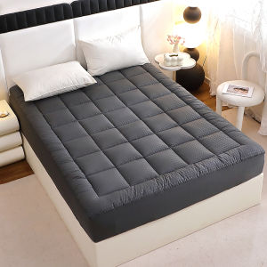 Mattress Protection for Sofa Bed Quilt Mat 360GSM 1st Layer Back Cover Livingroom Thin Mattress Protector