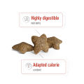 Royal Canin Mini Adult (8kg) Dry Dog Food - Size Health Nutrition. 