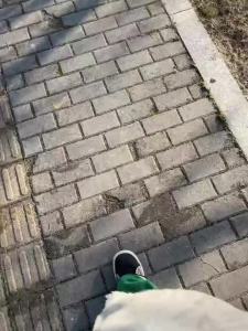 【车内萌饰】车载变色烤鸭汽车挂件创意后视镜鸭子挂饰网红可爱车内装饰[cute decoration in the car] car color changing roast duck car pendant creative rearview mirror Duck Pendant net red cute interior decoration