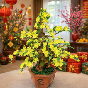 Bộ Vật Liệu Hoa Mai Đào Gốc Dáng Trực 25 Trang Trí Nhà Cửa S0317