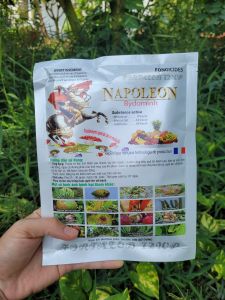 [Freeship Max] Trừ bệnh thán thư sương mai Biorosamil 72WP (Hoạt chất Metalaxyl + Mancozeb) gói 100gram_THIEN THINH SHOP