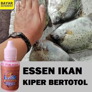 Essen Untuk Mancing Ikan Kiper Bertotol Sigacor Siap Pakai Isi 30ml