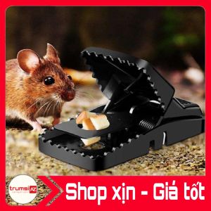 Bẫy chuột thông minh