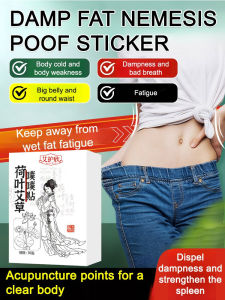 Wet Fat Buster Lotus Leaf Herbal Patch/Herbal Navel Patch/Moxibustion Patch/Abdomen Comfort/Wormwood Lotus Leaf/Body Detox/Natural Ingredients/Wellness Care