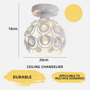 Modern Ceiling Light Crystal Spherical Pendant Light  Metal Cage Flower Decoration Entrance Corridor Dining Lamp Loft Lighting