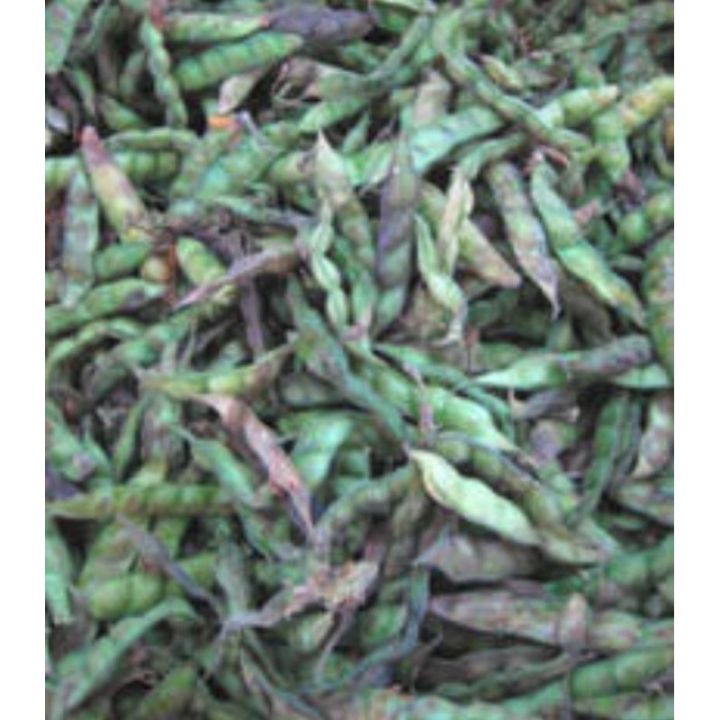 Kadyos/Pigeon peas (30 seeds) pantanim | Lazada PH