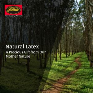 (NATURAL LATEX TOPPER) Goodnite Statfree® Anti-Static 2inch Thick Natural Latex Topper/Pad Tilam