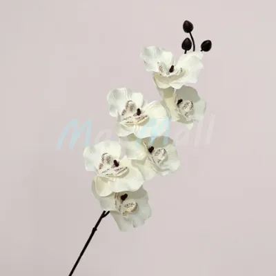 Bunga Anggrek Latex Tebal Hias Orchid Artificial Flower Hiasan Buket Artificial Flower Real Touch Latex Tebal Dekor Hias Bunga Artificial Anggrek Kain Pastel Anggrek Palsu Artificial Dekorasi