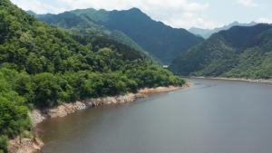 SUNPOW Metal Detector Pinpointer: A Comprehensive Guide for Adults & Kids