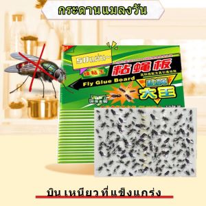 ไล่แมลงวัน กาวดักแมลงวั แผ่น ติดแมลงวันตัวใหญ่ แผ่นดักแมลง กาวดักแมลงไล่แมลง ดักแมลงวั