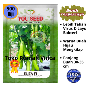 Benih Bibit Terong Hijau Super Tahan Virus ELIZA F1 500 Biji You Seed