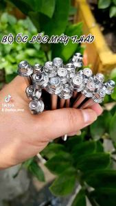 Bộ ốc lốc máy thái các dòng xe