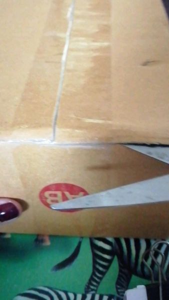 Buyer review video 5