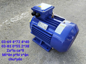 Mô tơ 55hp - 4kw giá rẻ