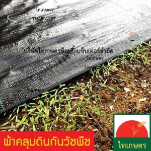 พลาสติกคลุมดิน กันหญ้าขึ้น ผ้าคลุมดินกำจัดวัชพืช ผ้าคลุมดิน ปูพื้นสวน ปูพื้นโรงเรือน น้ำผ่านได้ ขนาด 1x10 1.2x10 และ 1.5x10 เมตร