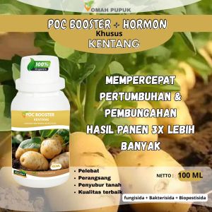 pupuk booster kentang 100ml - meningkatkan kesuburan tanah - meningkatkan kuantitas dan kualitas