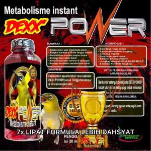 Dexx Power Pleci Bukpar juara Lomba Suplemen Vitamin Penggacor Burung