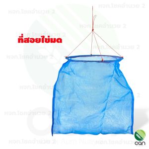 ที่สอยไข่มด ที่สอยรังมด ที่แหย่ไข่มด ที่สอยไข่มดแดง