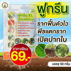 ฟูกรีนXL เขียวขนลุก เขียวสะพรึง เขียวขนลุก ช่วยให้พืชสังเคราะห์แสง ใบเขียวสด ใบหนา ขยายลำต้น กิ่งก้าน เขียวนาน โตไว เร่งราก แตกใบ ผลใหญ่ ฉีดระยะแรก เร่งต้น เร่งเขียว กระตุ้นแตกกอ อาหารเสริม ฮอร์โมนพืช ฉีดได้กับทุกพืช