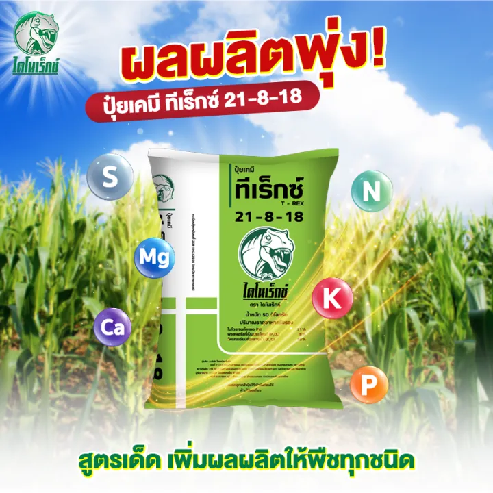 ปุ๋ยรองพื้นอ้อย มันสำปะหลัง 21-8-18 ทีเร็กซ์ ตราไดโนเร็กซ์ 50 กก.