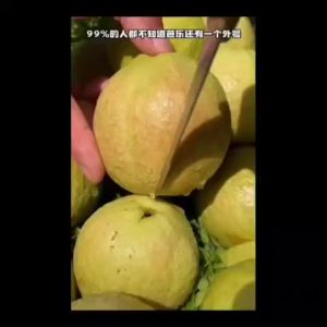 Red Guava Dried Fruit Red Guava Dried Guava Dried Fruit