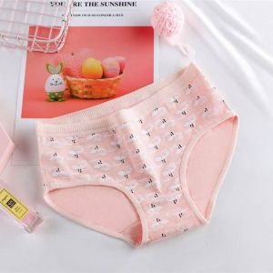 SABEELA - CD imut Jepang fashion Undies Celana Dalam high quality katunimport CD import Flamingo S019