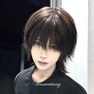 Wolf tail wig boys Japanese short straight hair layering mullet head wig neutral versatile universal simulation full headgear