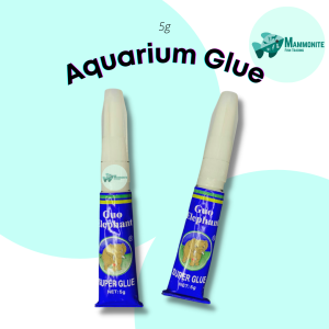 Aquarium Glue 5 Grams for Aquascape Plants Stones Woods Fish Tank  Cyanoacrylate Adhesive  Superglue