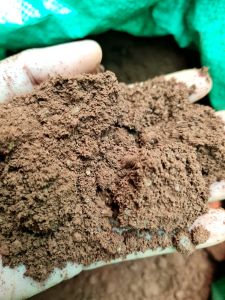 Bùn trồng sen súng cảnh và các loại cây thủy sinh 5KG + tặng phân bón Minh Hân Garden