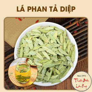 Lá phan tả diệp 500g trà phan tả lá xanh thơm không vụn hỗ trợ thải độc táo bón - Lãn Ông