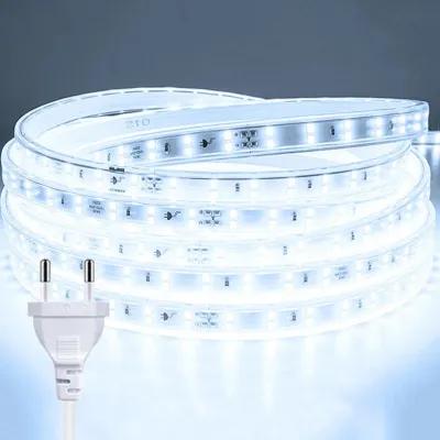 AceDeal [Support Lalamove Bulk Orders] Double Row LED Light Strip High Bright Included Power Plug Outdoor Waterproof Strip Light Flexible LED Light Indoor Xmas Home Decoration First Choice
