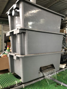 [GIẢM ĐẾN 20% Ở XU] Baki Lọc Nước 4 Tầng màu xám Cho Hồ Cá Koi [KO VẬT LIỆU]- 64.24.39cm/Mỗi Tầng- Nhựa Dày - Bền Tối Ưu Chất Lượng Nước