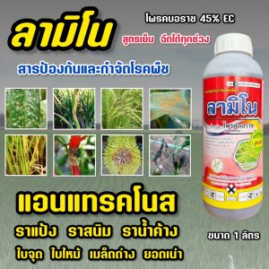 โพรคลอราซ 45 ลามิโน (สูตรเย็น)  กำจัดโรคพืช กำจัดเชื้อรา แอนแทรคโนส กาบใบแห้ง ราดำ โรคเน่า กุ้งแห้ง 1 ลิตร # เจอราจ