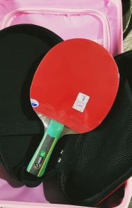 Vợt bóng bàn 729-VERY 9 Sao cao cấp