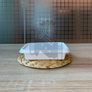 Bagasse Rectangular Container + Tutup 360ML White Putih  Kotak Takeway Kemasan Makanan Dessert
