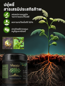 สารเพิ่มประสิทธิภาพปุ๋ยพืช น้ำยาคลายดินในครัวเรือน น้ำยาอัดดิน น้ำยาคลายดิน น้ำยาปรับสภาพ