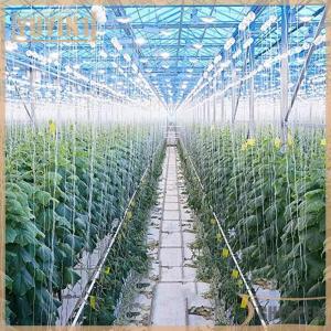 [COD] EHBqna SPORTS ตะขอลูกกลิ้งสำหรับพืชสวน6ชิ้น เซ็ตตะขอยึดมะเขือเทศชุดรองรับเชือกสตริงสำหรับมะเขือเทศมะเขือยาวแตงโมพริก