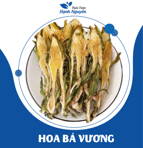 Dừa biển khô Thái Lan 100g (Nấu canh nấu chè ngọt thanh mát) - Thảo Dược Hạnh Nguyên