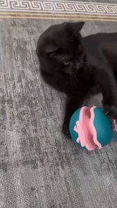 Cat Toy Cat Tumbler Ball Self-Happy Toys 2 in 1 Interactive Turntable Toys Automatic Cat Teasing Toy