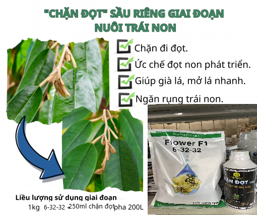 (𝐂𝐎𝐌𝐁𝐎) 𝐂𝐇𝐀̣̆𝐍 Đ𝐎̣𝐓 + 𝟔-𝟑𝟐-𝟑𝟐 -- chặn đọt sầu riêng, xử lý chặn đọt sầu ...