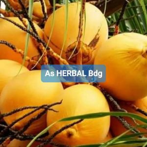 Buah kelapa gading muda segar-az